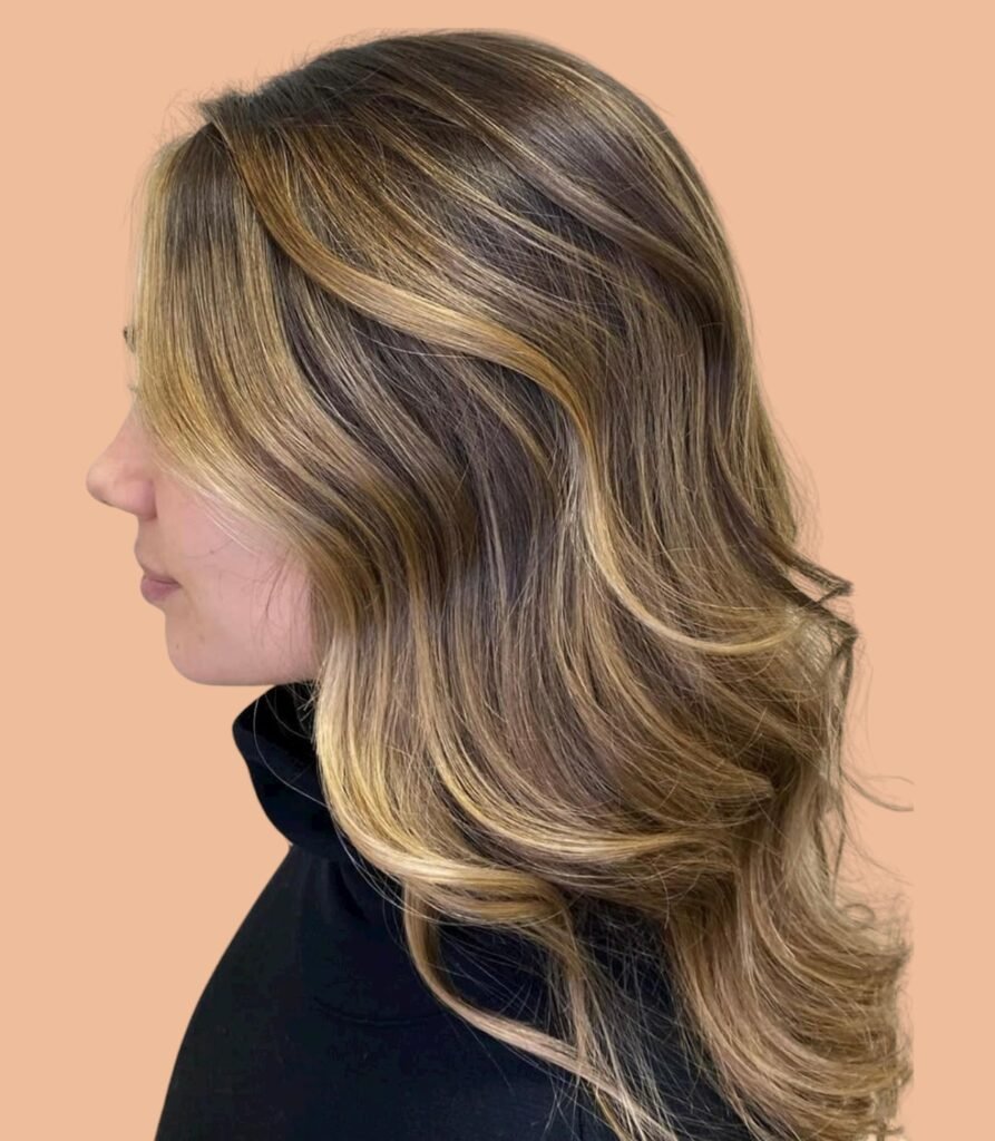 Partial Highlights + Moisturizing Hair Mask + Blow Dry